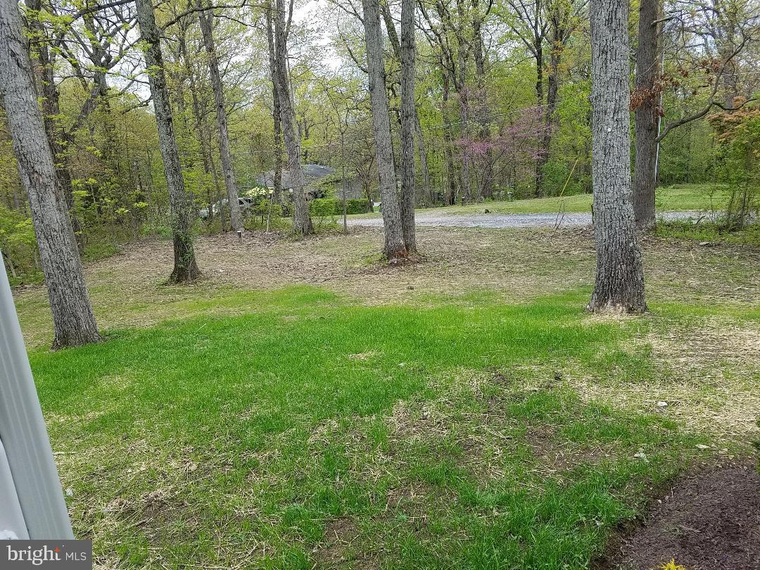 RIVER VIEW PARK - Residential