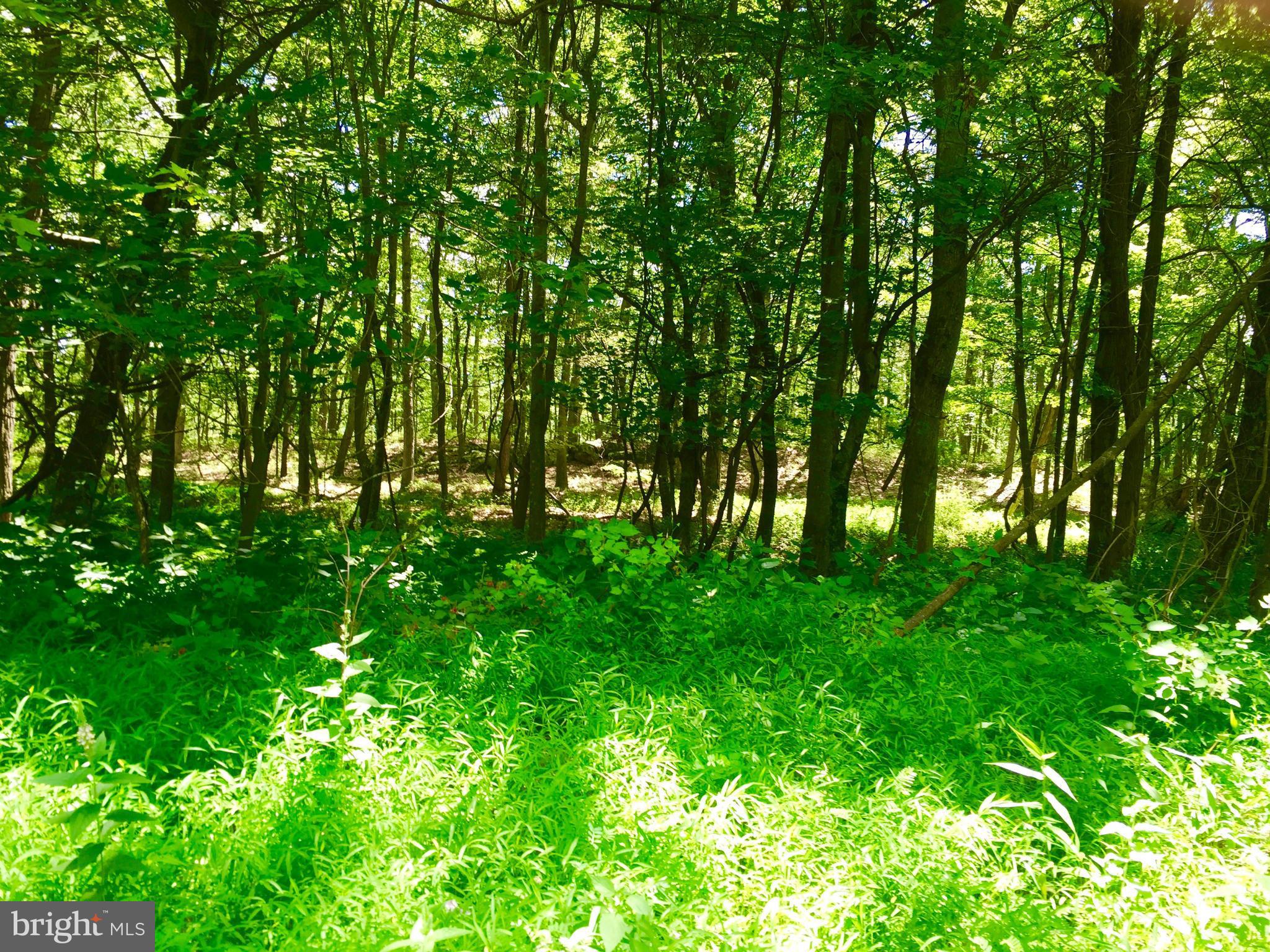A serene 4.5 acres with stunning mountain views could be the perfect spot to build your dream home or a vacation getaway! The true meaning of "Almost Heaven".....