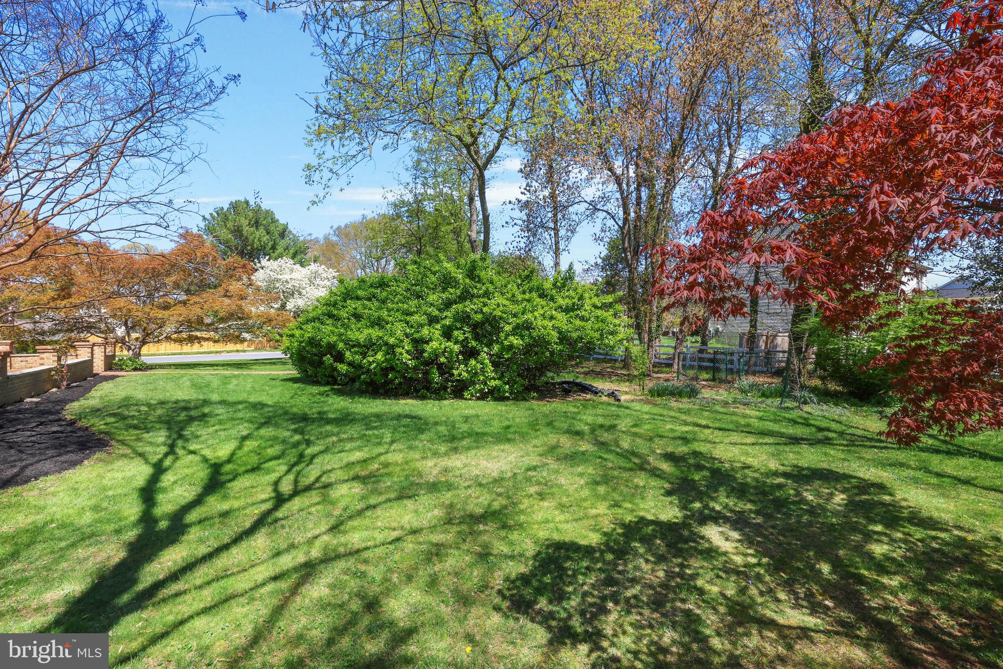 THE FOREST - Residential