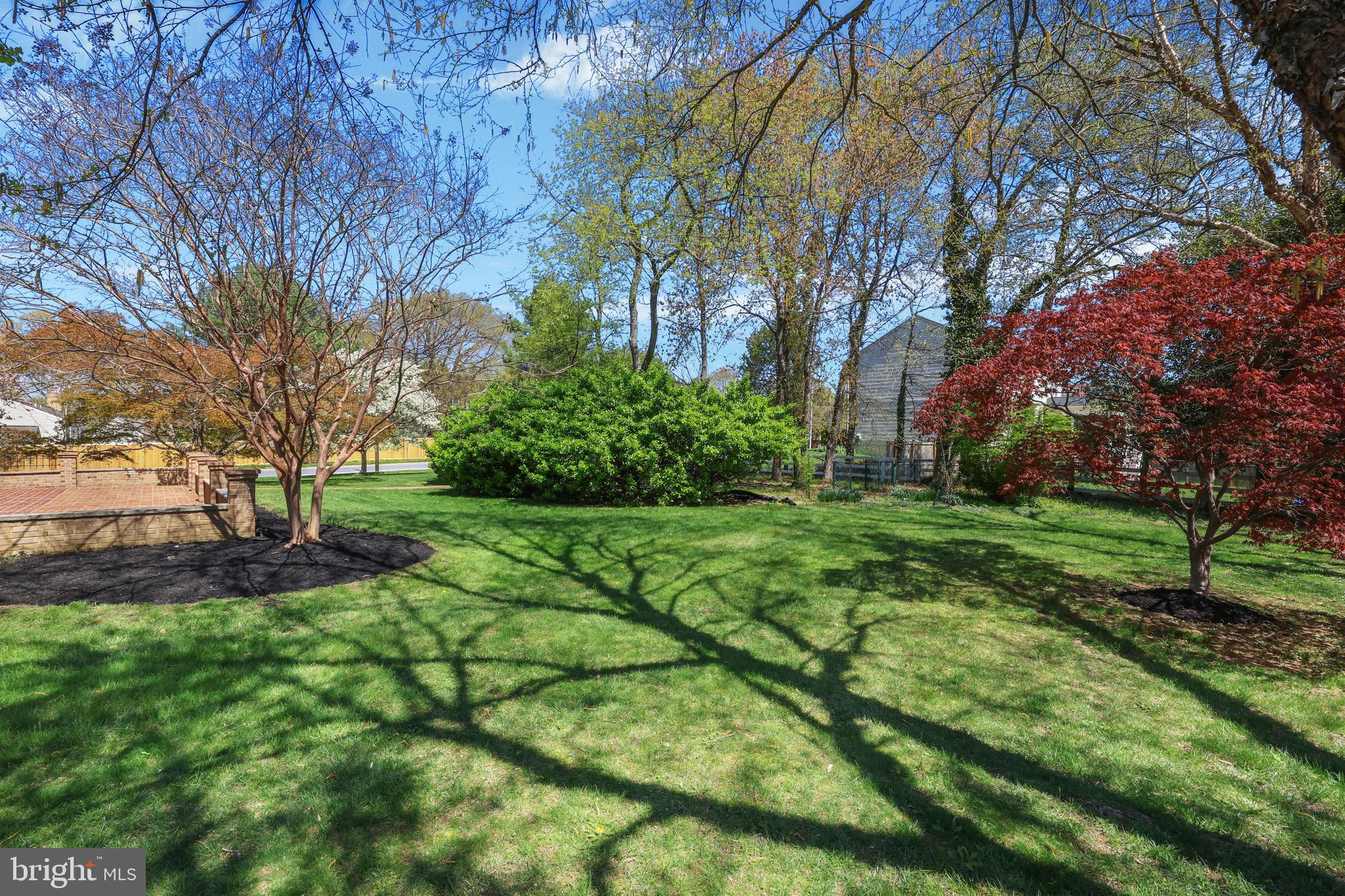 THE FOREST - Residential