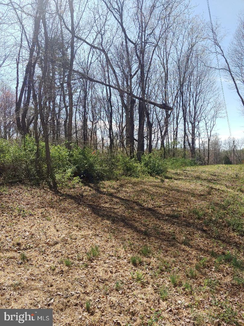Lot 1 SHELBY RD
