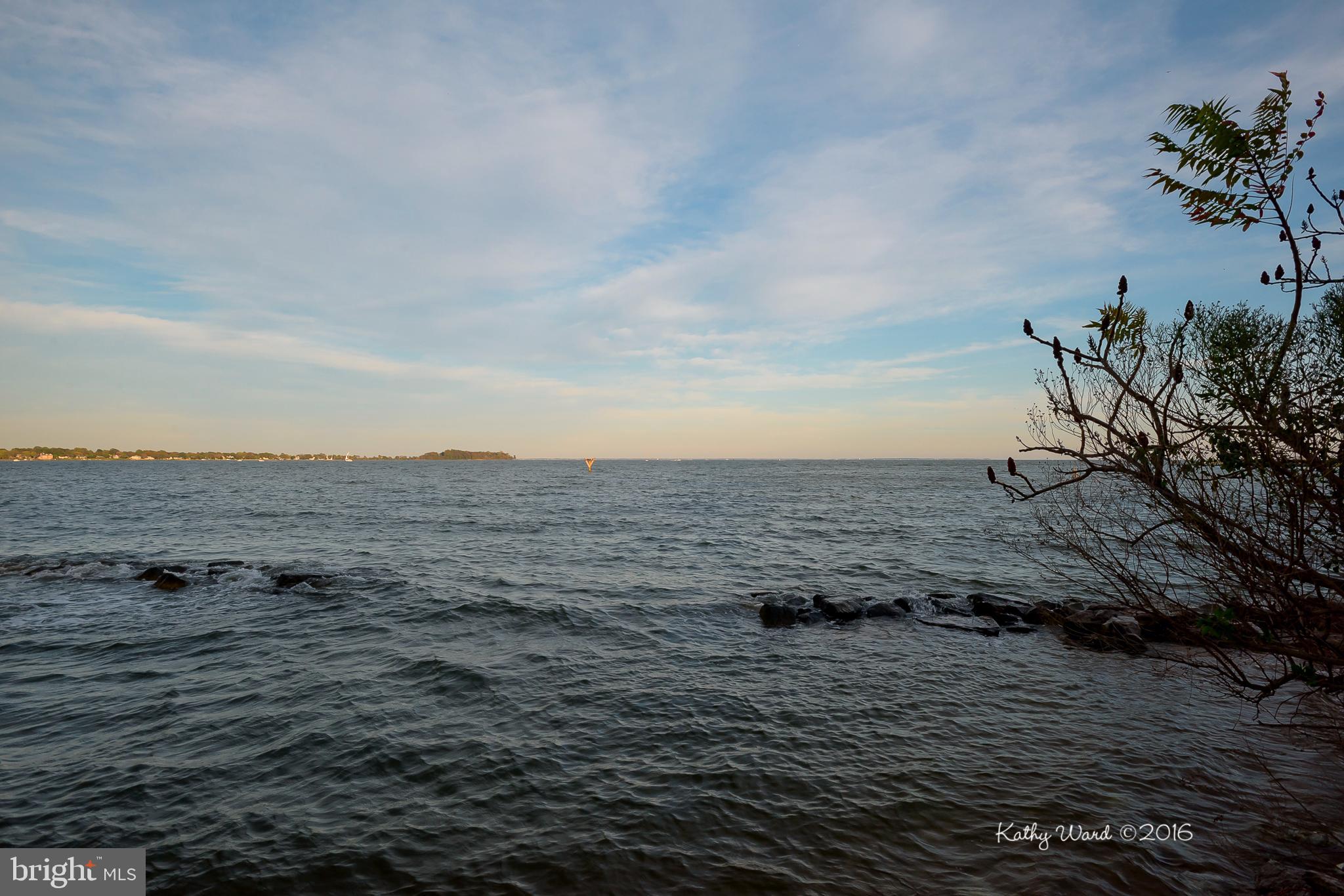 TURKEY POINT - Residential
