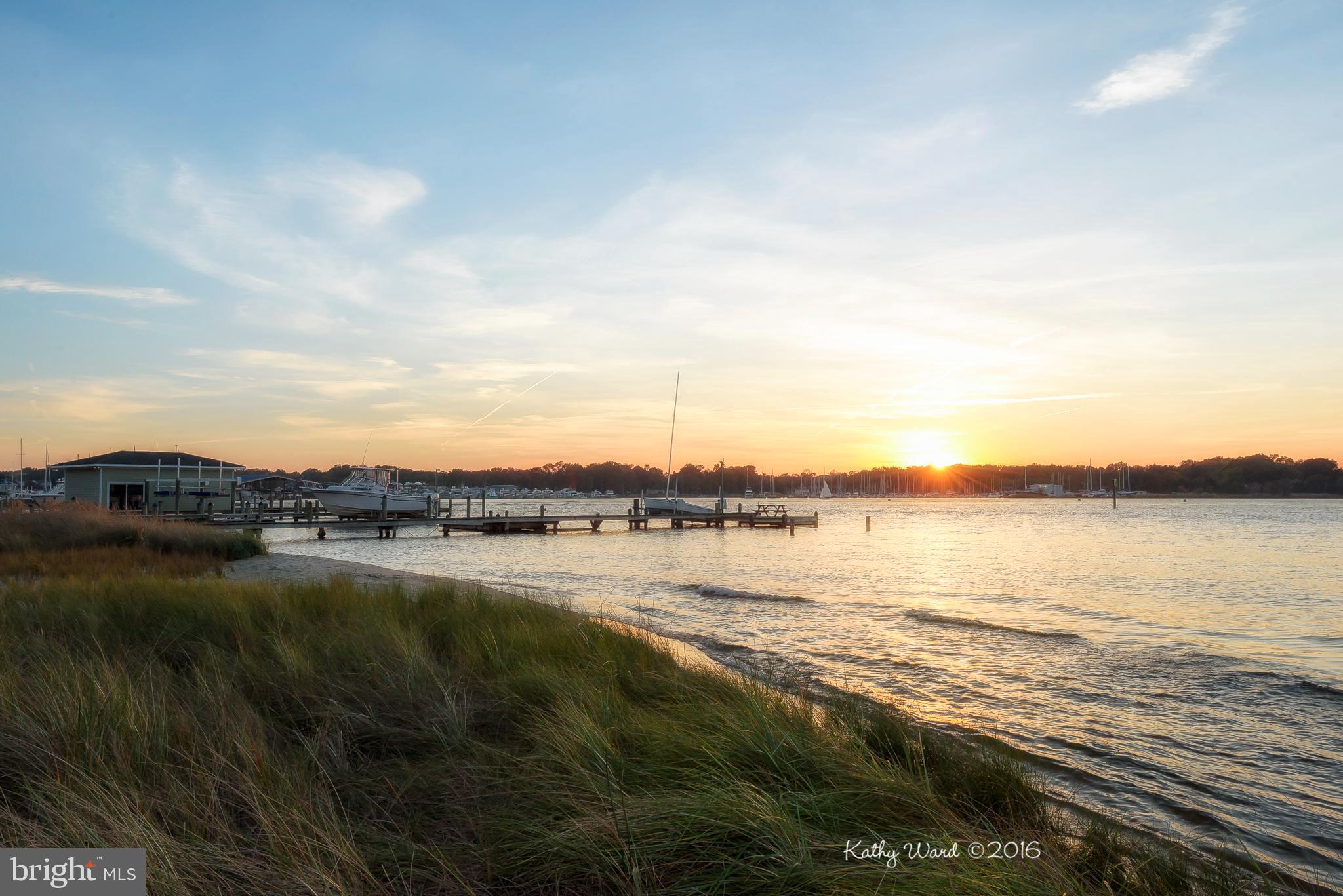 TURKEY POINT - Residential
