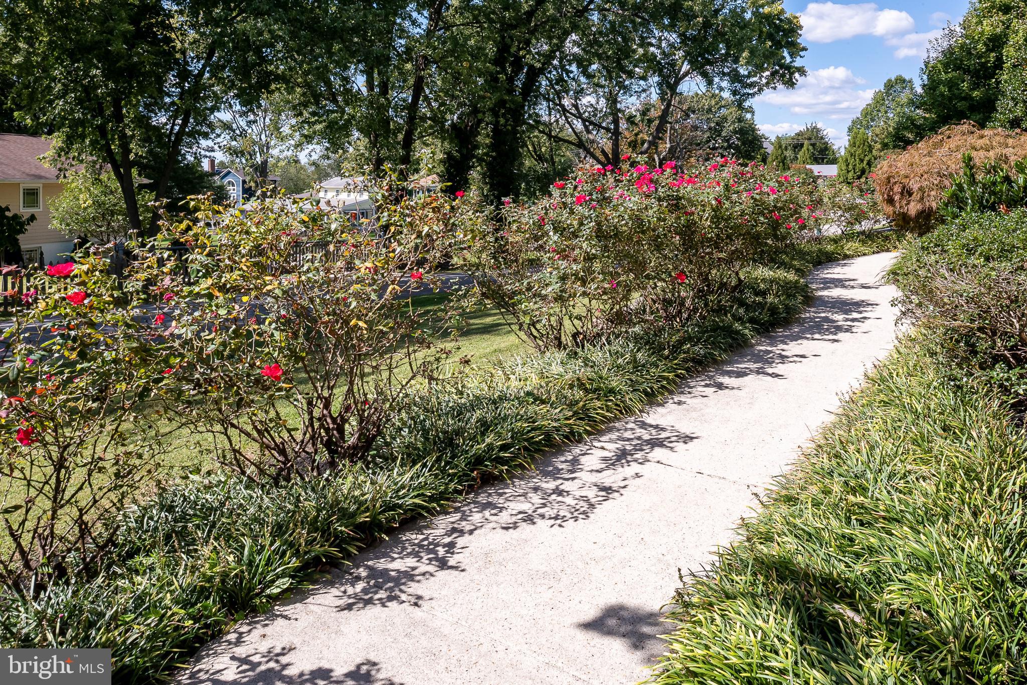 TURKEY POINT - Residential