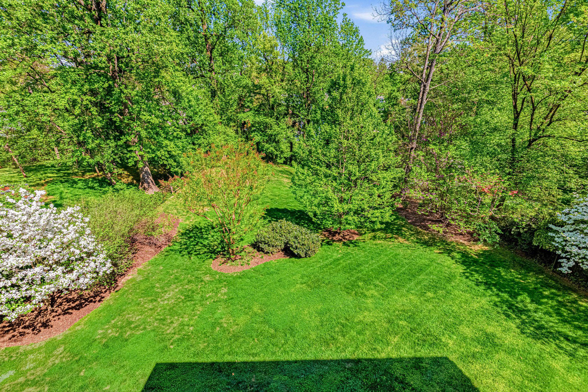 WILLIAMSBURG VILLAGE - Residential