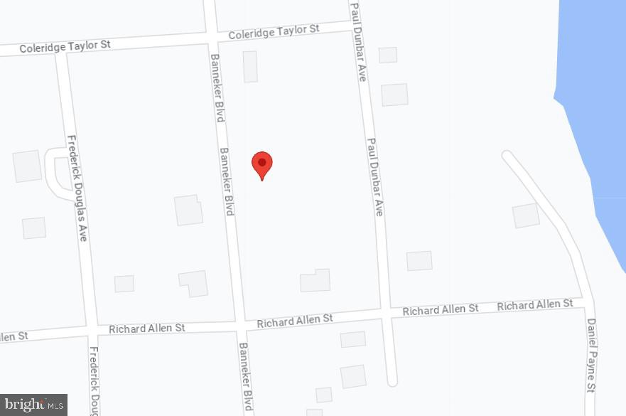 23216 BENJAMIN BANNEKER BOULEVARD