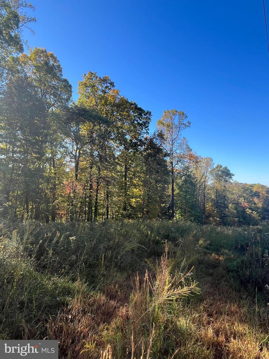 You'll definitely want to consider this beautiful wooded 3.746 acre lot off the beaten path as the perfect spot for your next home. This West Shore School District property is right off Big Spring Rd. Not quite enough acreage? The adjacent 1.345 acre lot (Lot 2 Big Spring Rd) is also for sale.