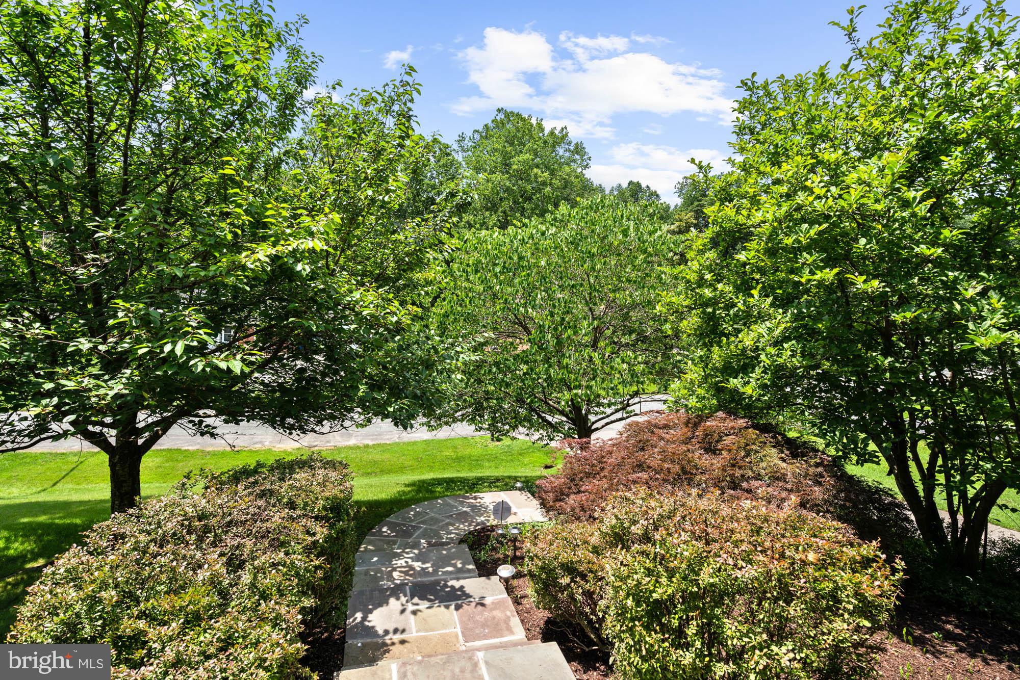 14817 LAKE TERRACE