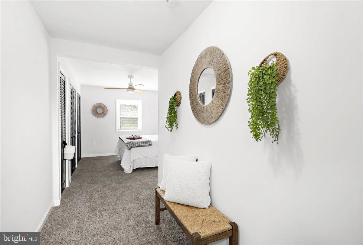 CARNEY VIEW - Residential