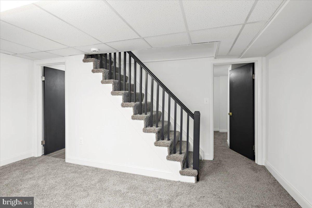 CARNEY VIEW - Residential