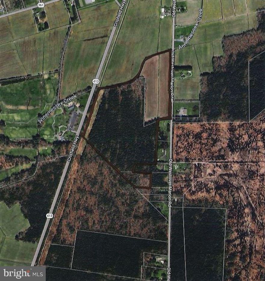 Come tour these three contiguous parcels that total 49.1 acres, of which 12 acres are clear and currently farmed. The remaining 37 acres are wooded with a nice stand of mature hardwoods and pines. Whether you are a hunter or nature enthusiast, this acreage contains an abundance of wildlife. One could build their dream home on this farm and raise horses, cows, and other livestock. The property is private, yet within 5 miles of the amenities of the Historic Town of Princess Anne and approximately 10 miles to the City of Crisfield and its Chesapeake Bay amenities and sporting activities. Acreage, like this lovely farm, do not come to market much so come quick!!