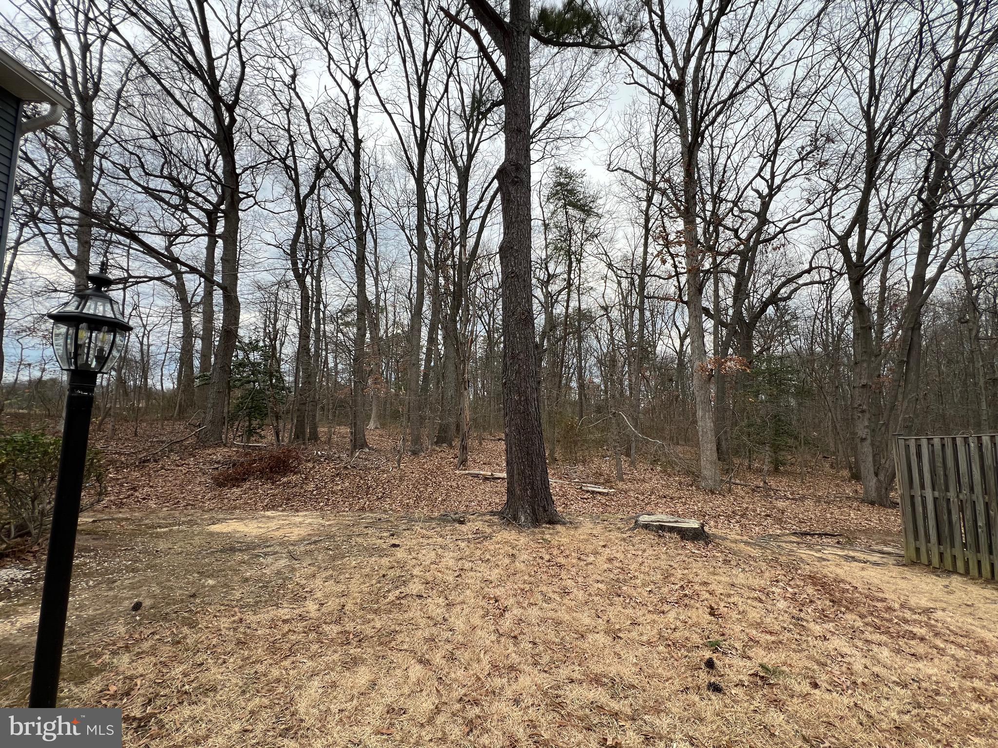 GREEN HOLLY WOODS PLAT T - Residential