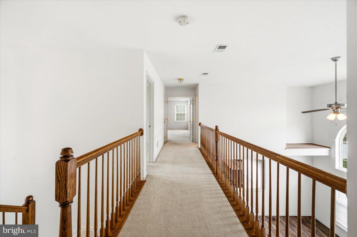 SHENANDOAH SPRINGS - Residential