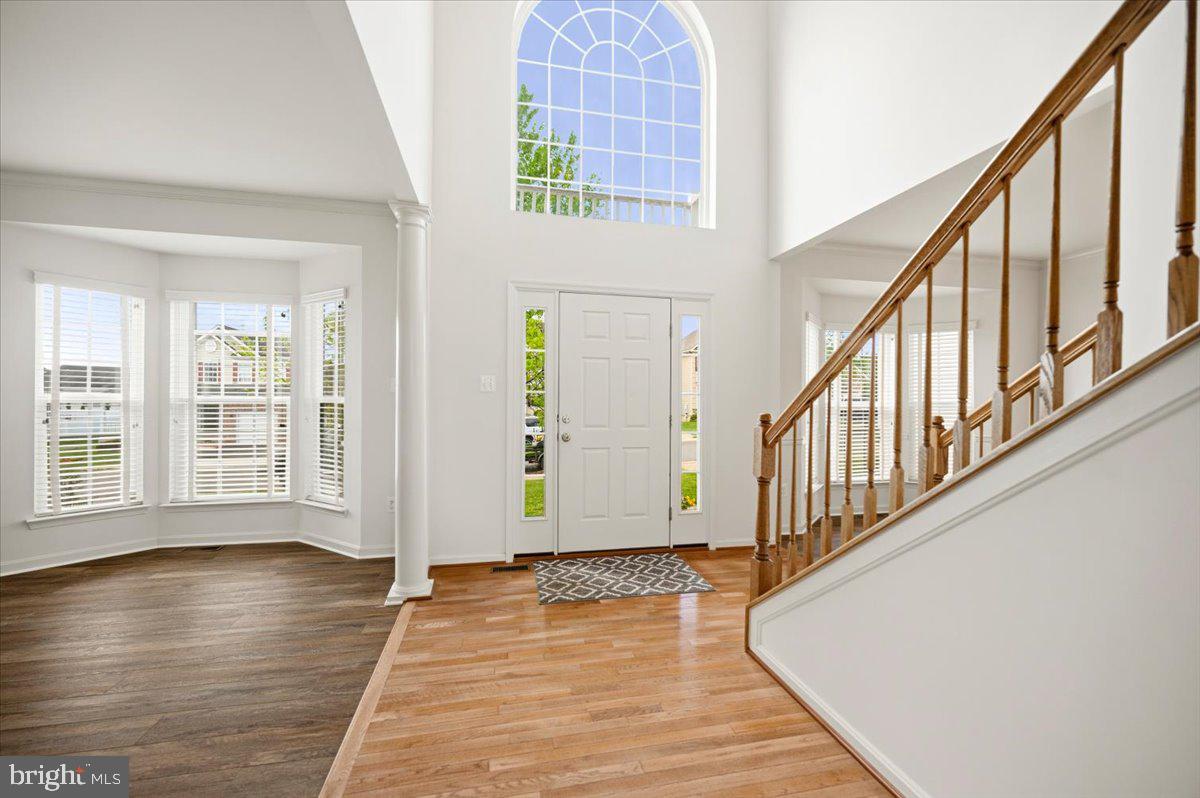 SHENANDOAH SPRINGS - Residential