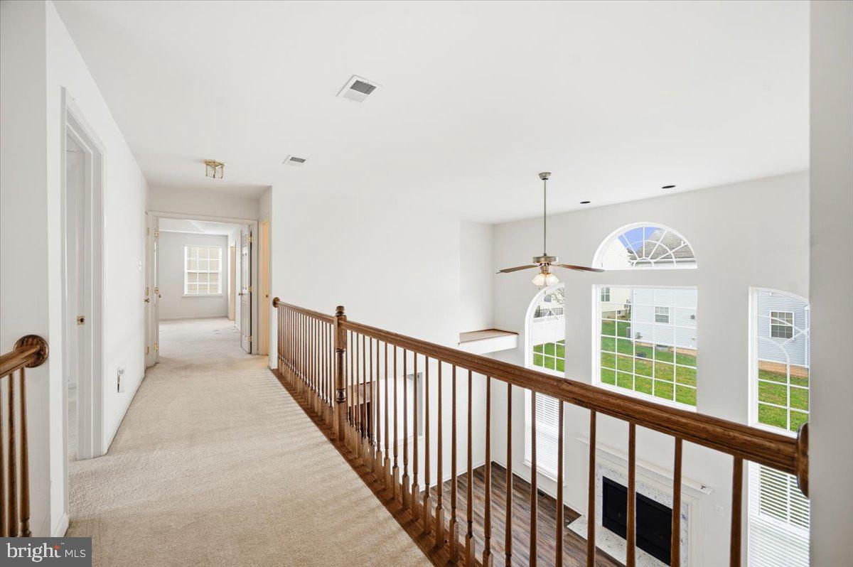 SHENANDOAH SPRINGS - Residential