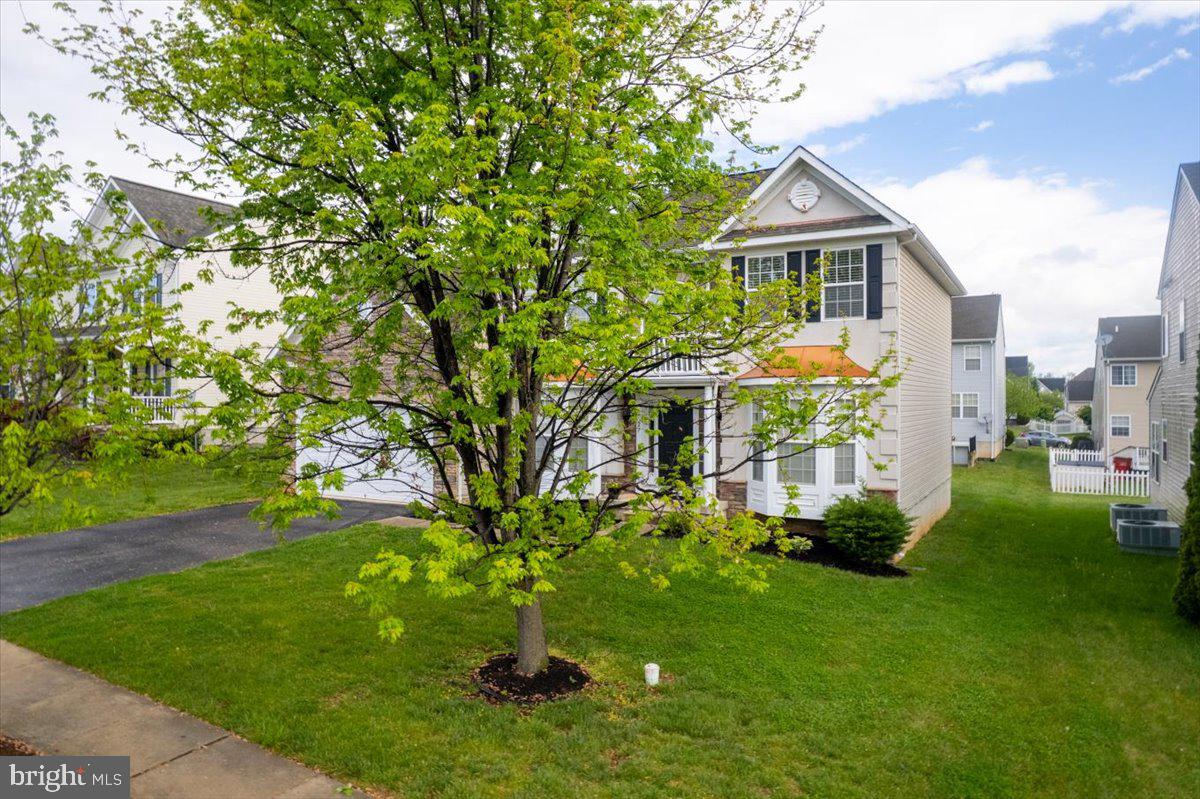 SHENANDOAH SPRINGS - Residential