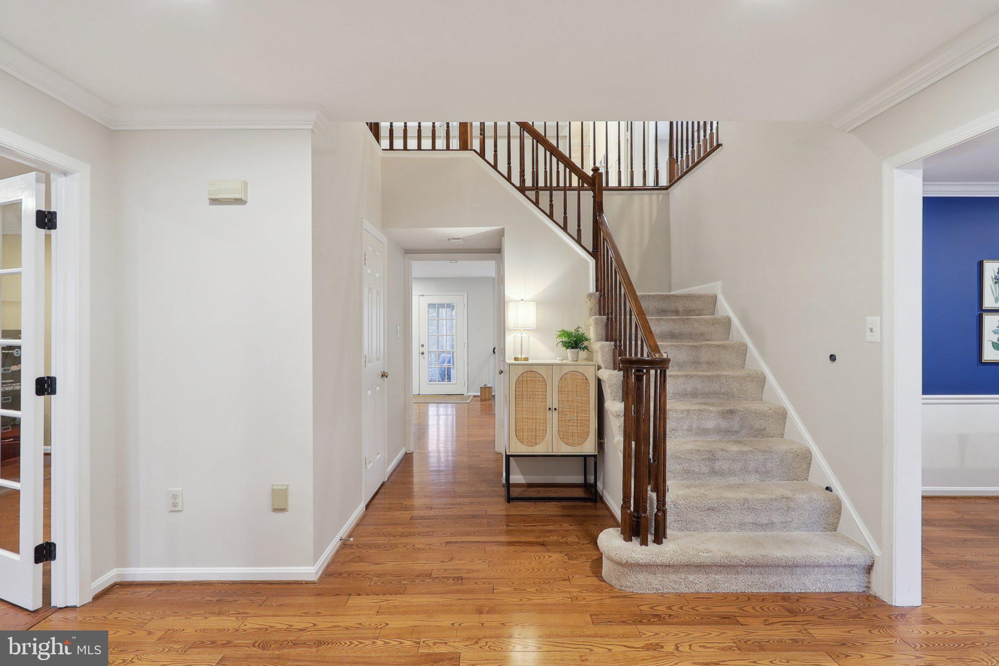 SOUTH RUN FOREST - Residential