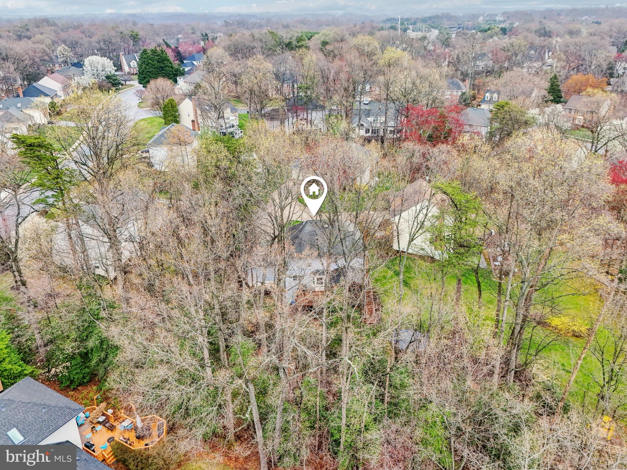 SOUTH RUN FOREST - Residential