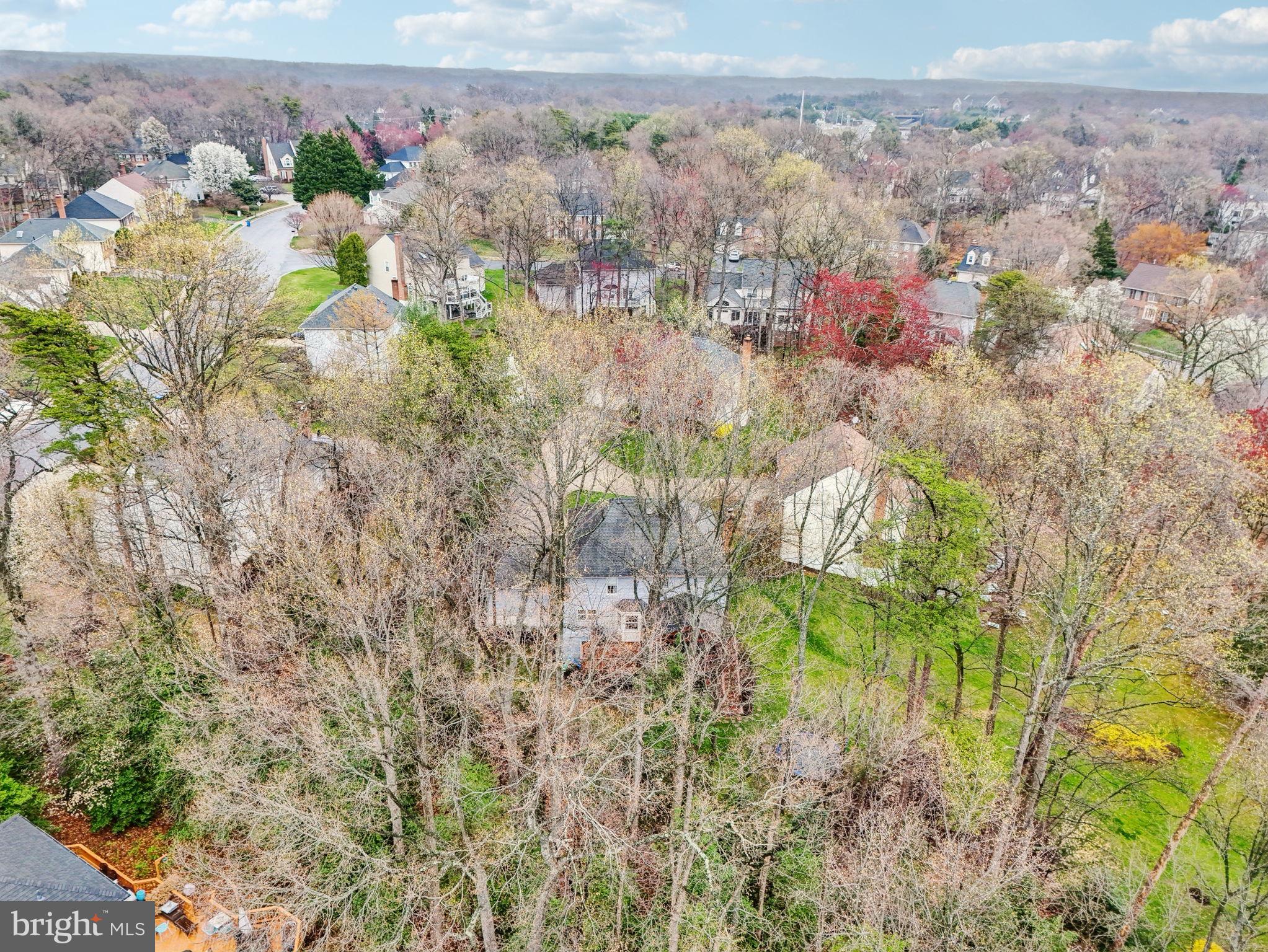 SOUTH RUN FOREST - Residential