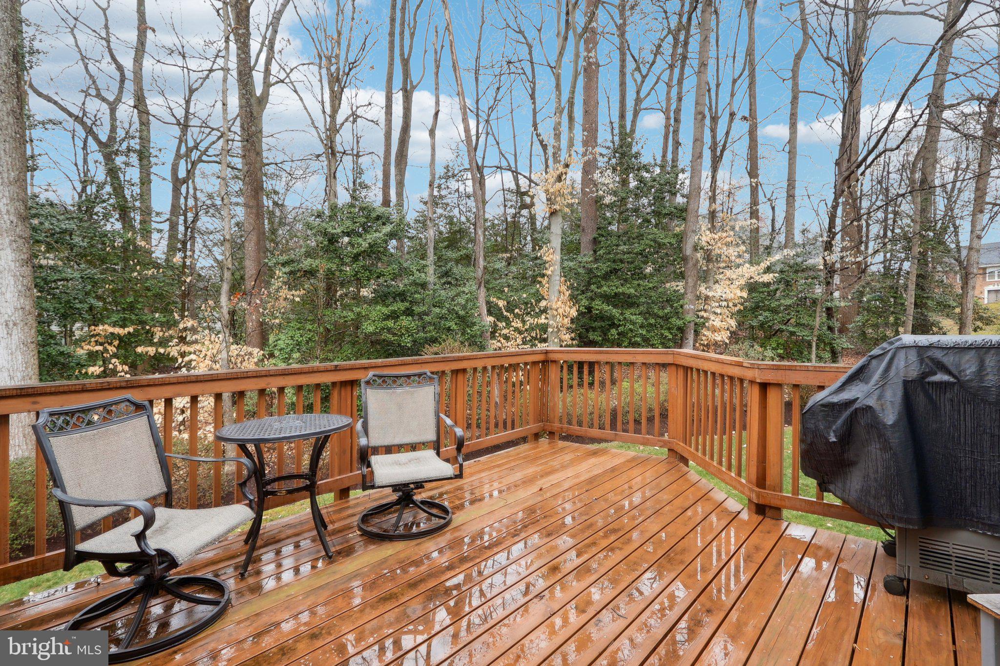 SOUTH RUN FOREST - Residential