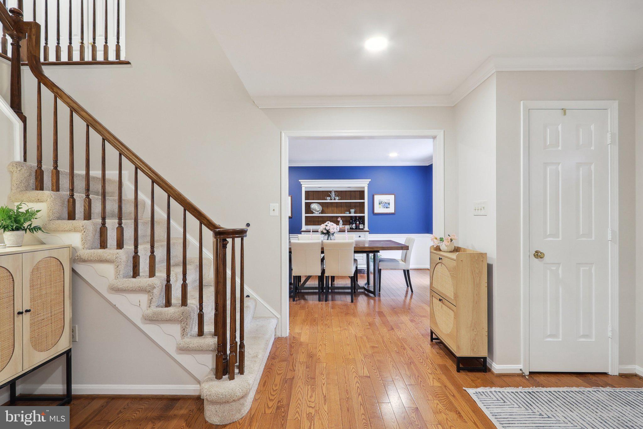 SOUTH RUN FOREST - Residential