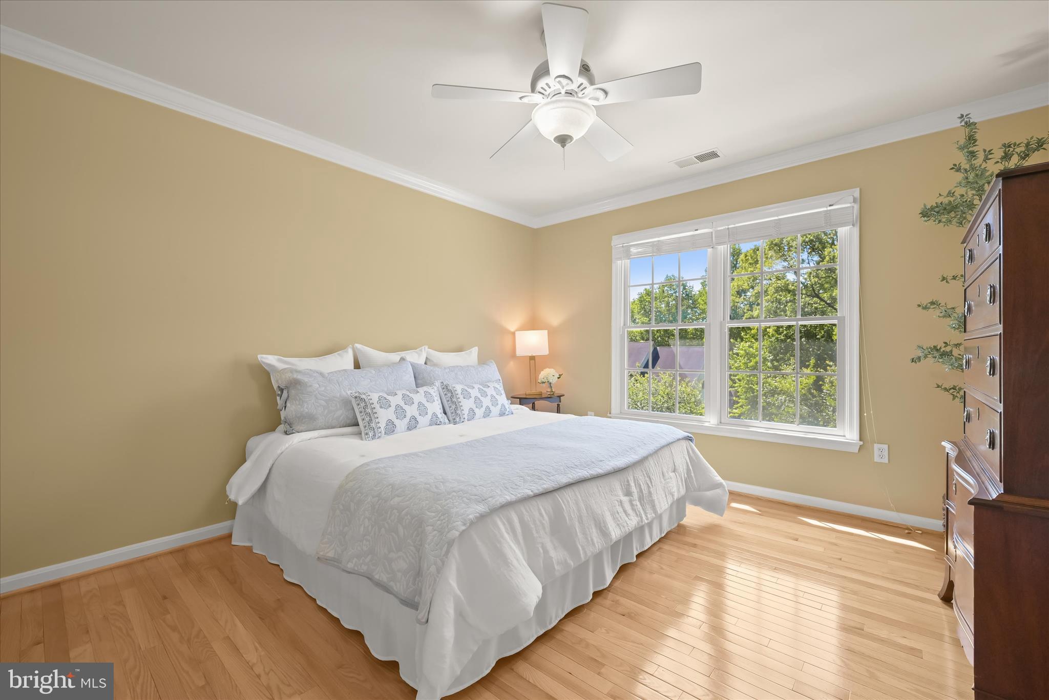 SOLOMONS RIDGE - Residential