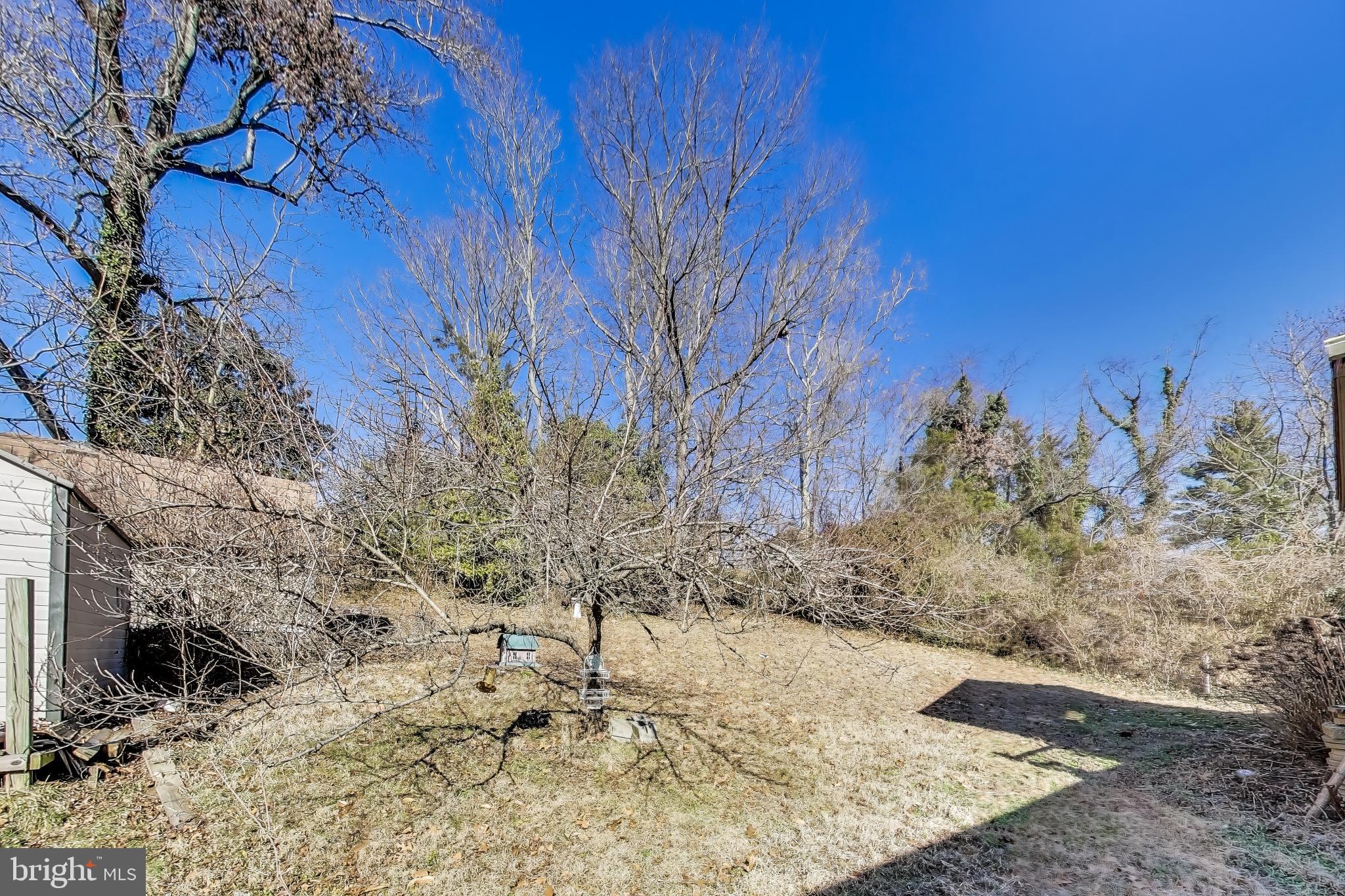 PRINCE GEORGE - Residential