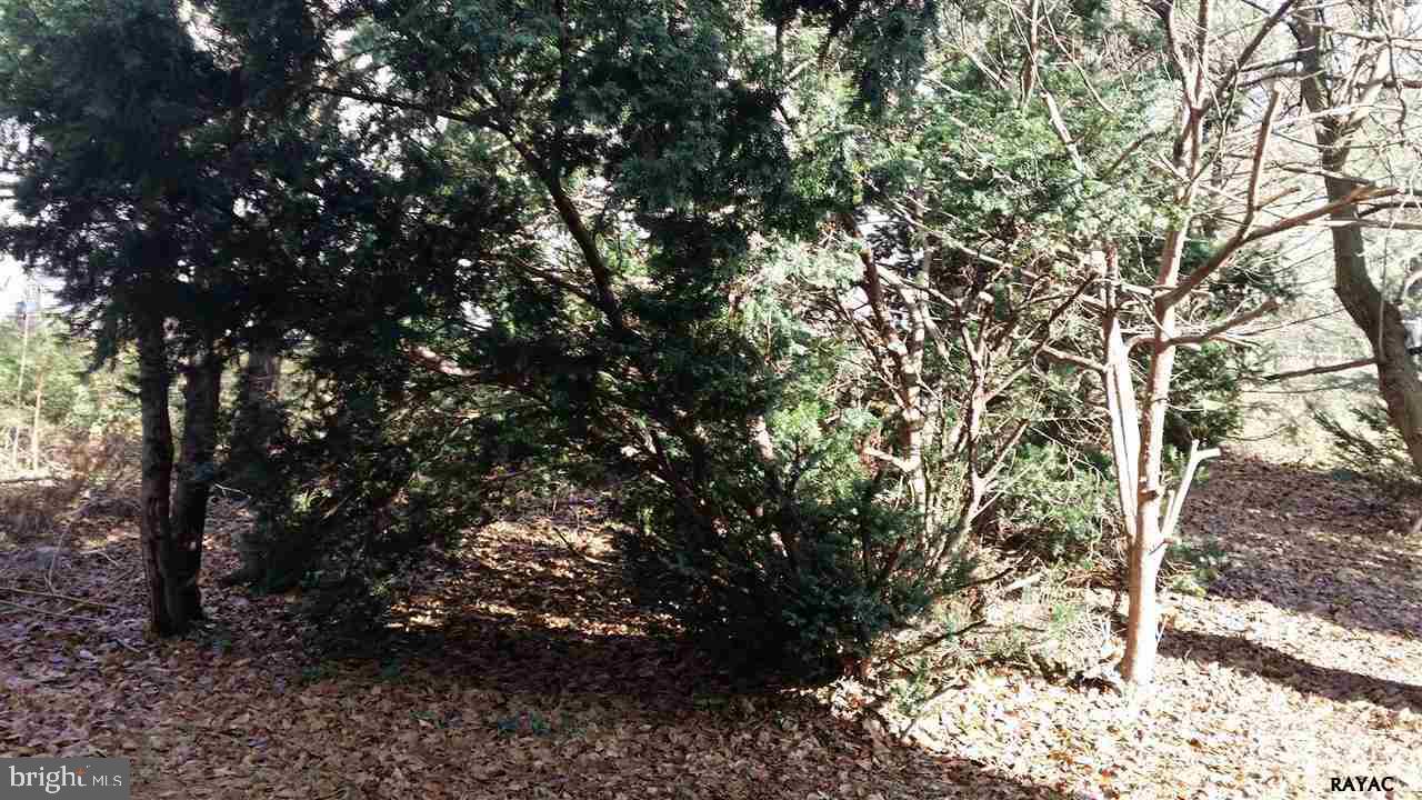 PLUM CREEK VILLAGE - Residential