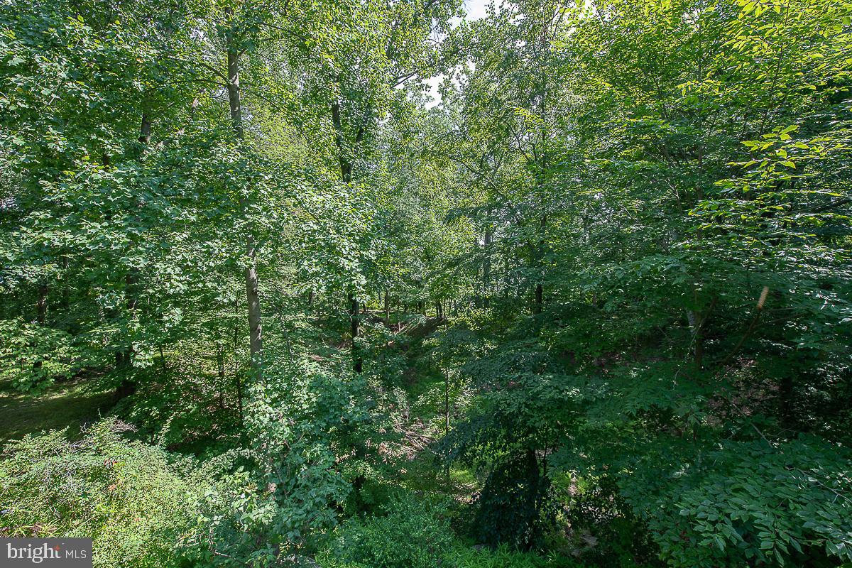 YELLOW SPRINGS EST - Residential