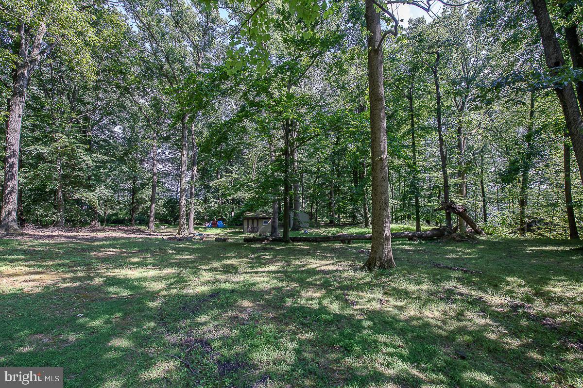 YELLOW SPRINGS EST - Residential