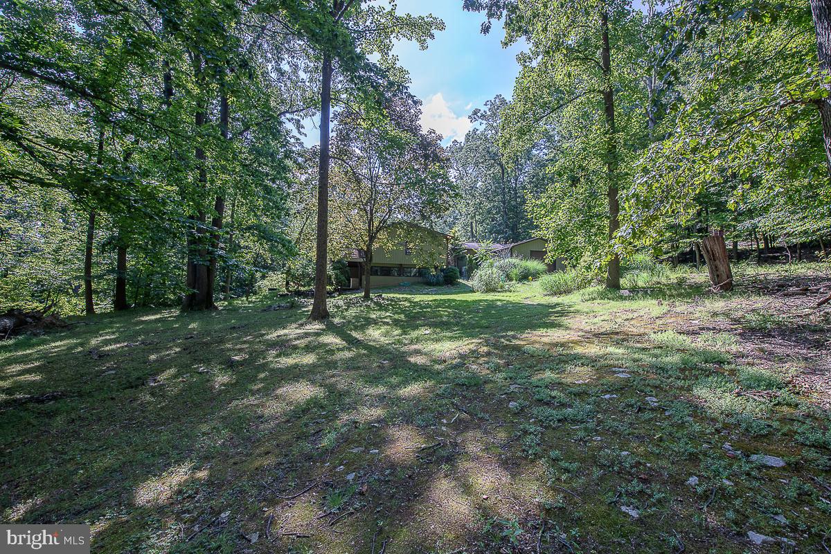 YELLOW SPRINGS EST - Residential