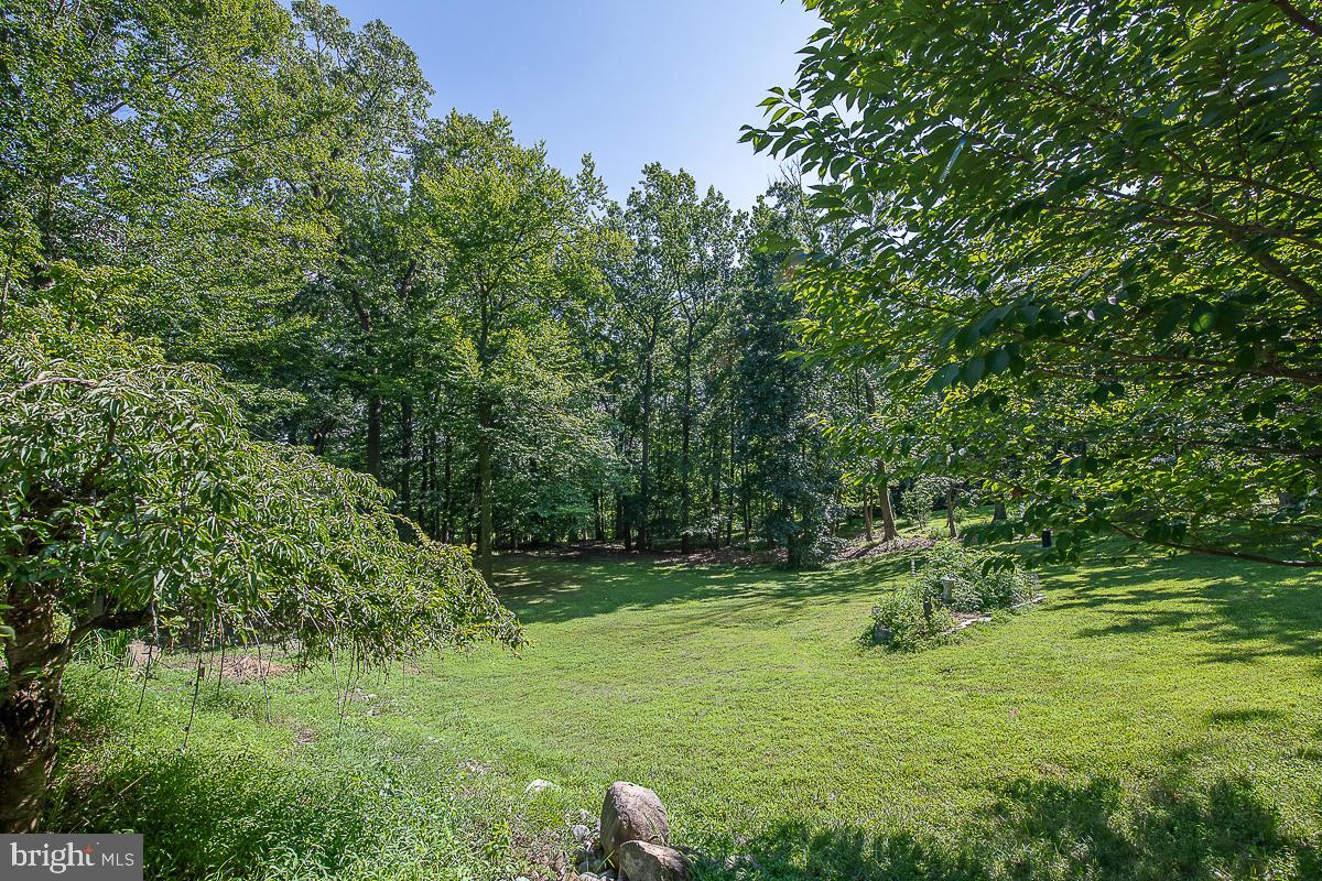 YELLOW SPRINGS EST - Residential