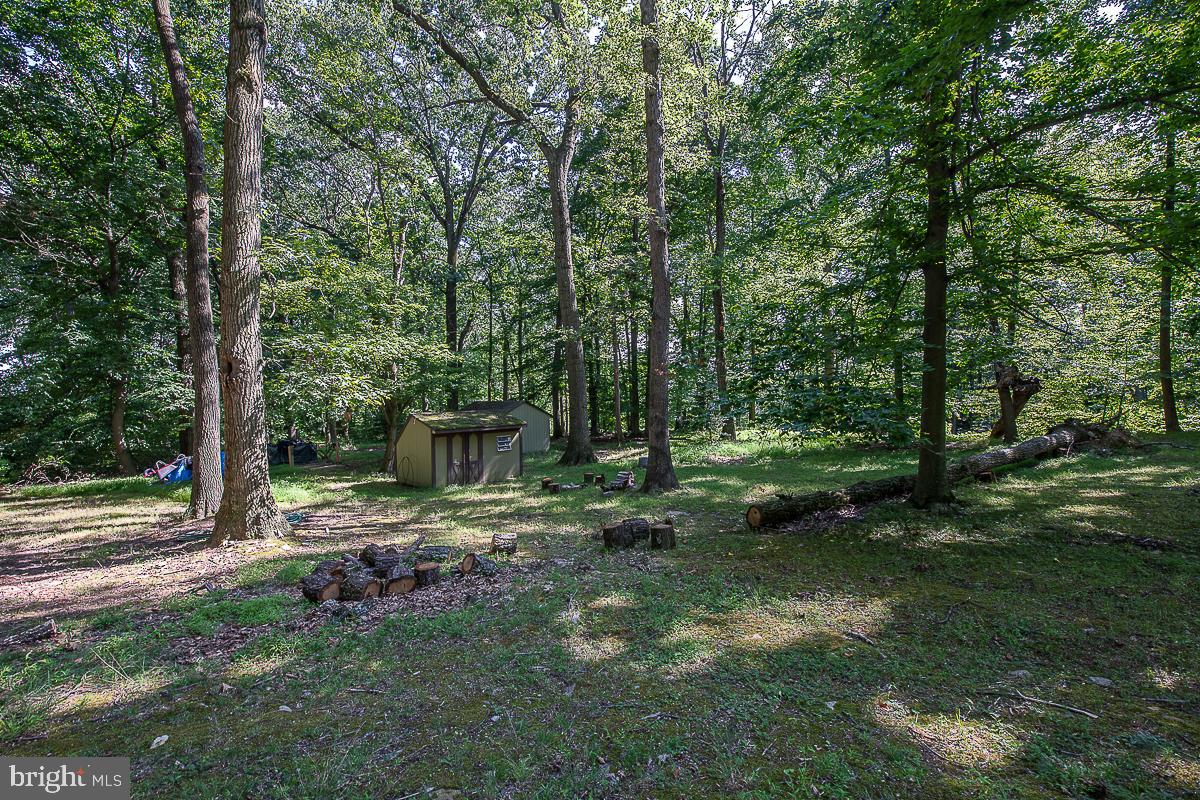 YELLOW SPRINGS EST - Residential