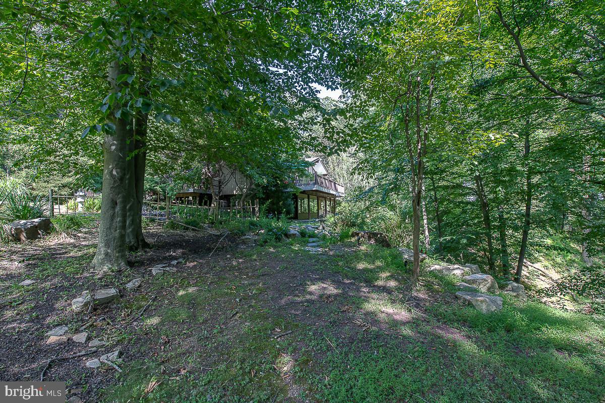 YELLOW SPRINGS EST - Residential