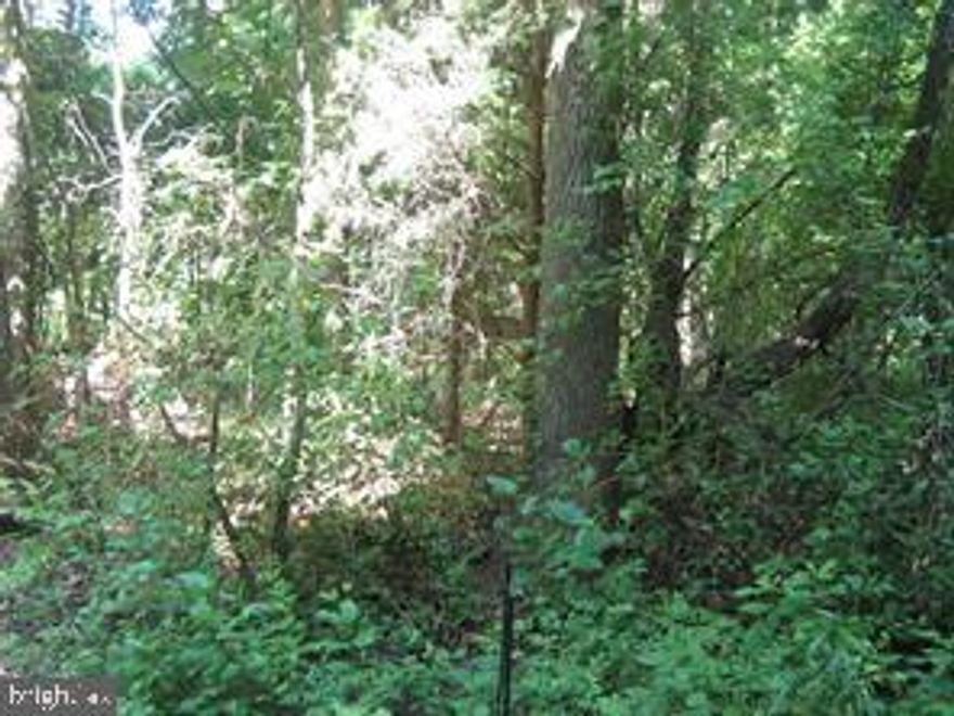 BUILD the home of your dreams on this wooded level lot near the end of a cul-de-sac in a water-oriented community.  The golf cart-friendly community offers a boat ramp, marina, pavilion, and clubhouse. Owner financing available. Close to Fredericksburg and only minutes from the Maryland bridge. Call for a showing today. Community plat available.