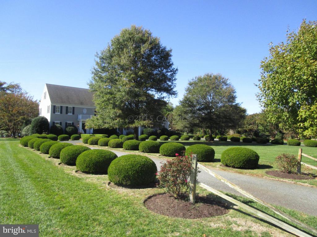 SADDLE CREEK - Residential