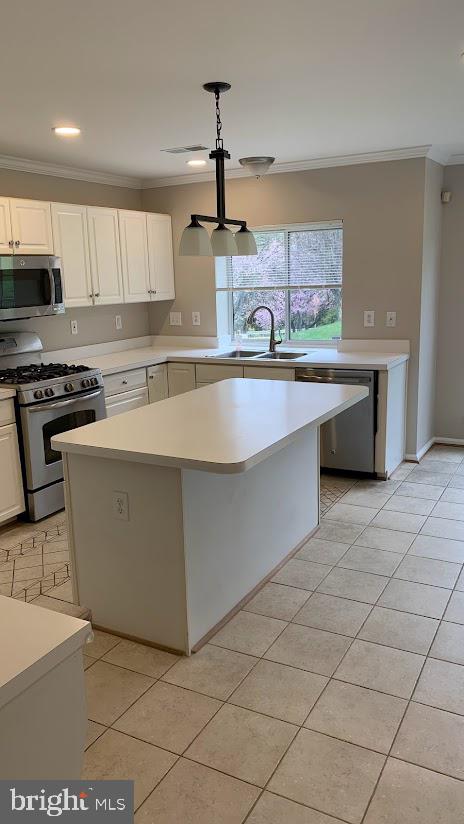 MANORS OF PAINT BRANCH - Residential Lease