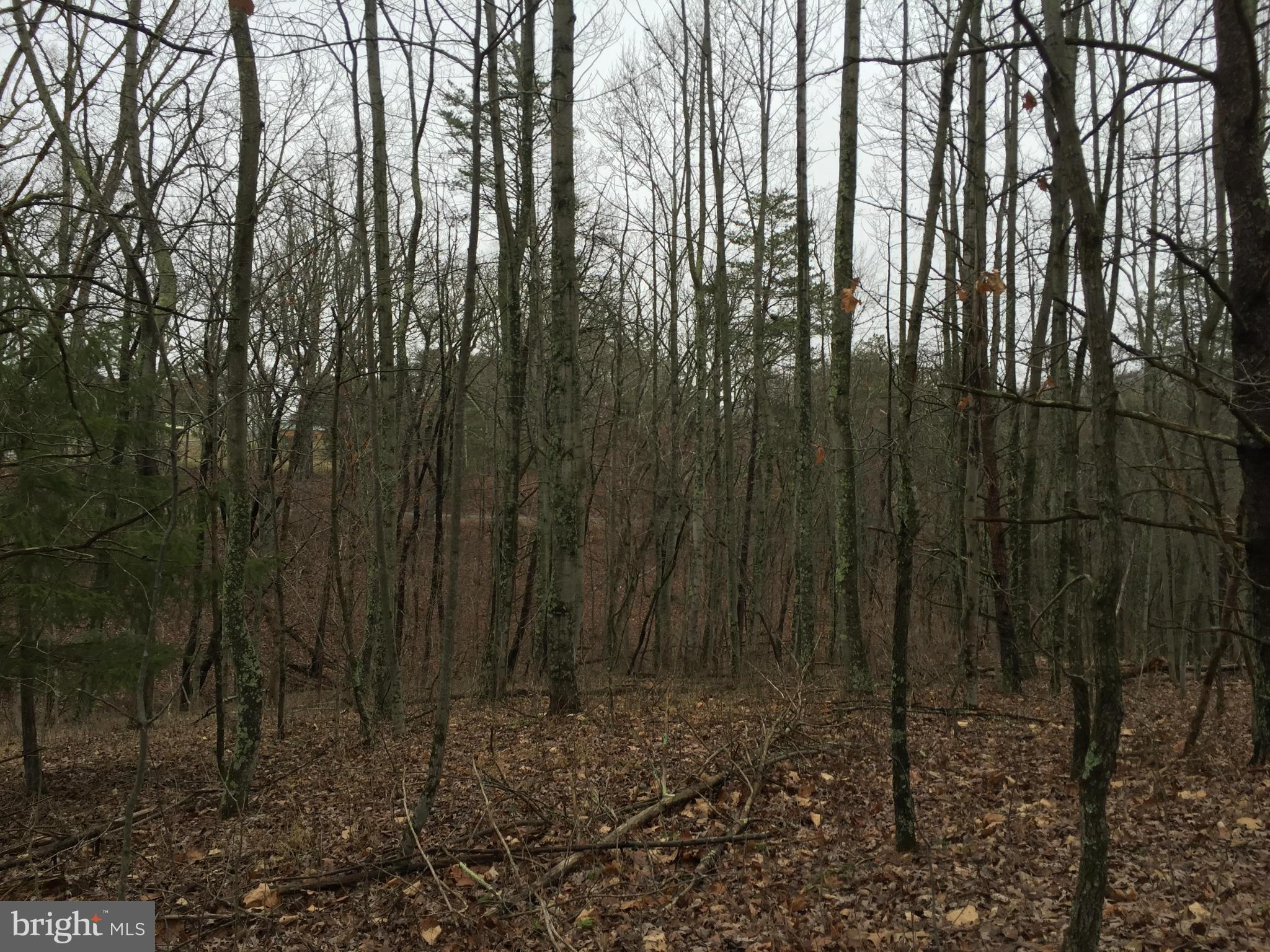 NONE AVAILABLE - Land