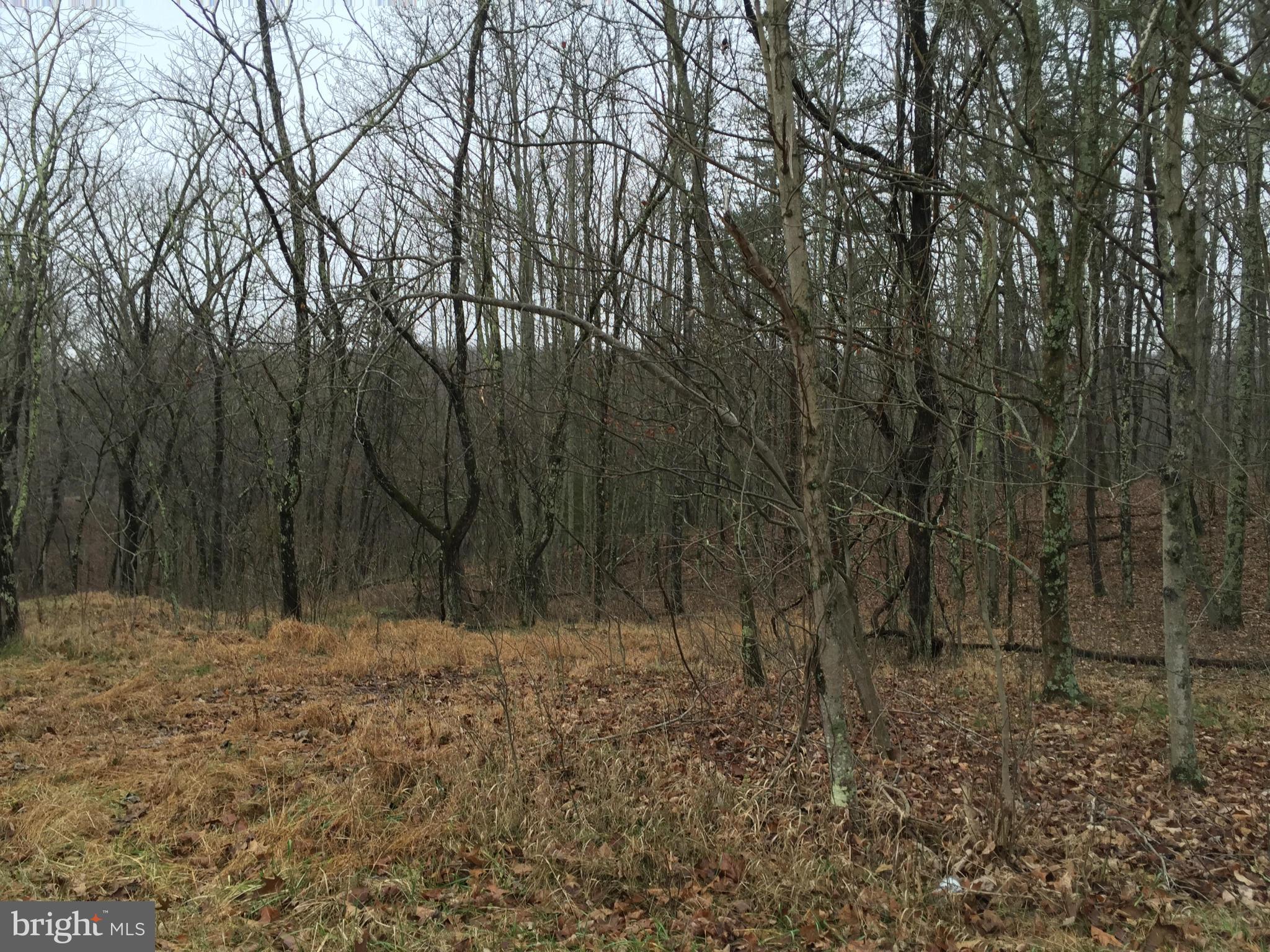 NONE AVAILABLE - Land