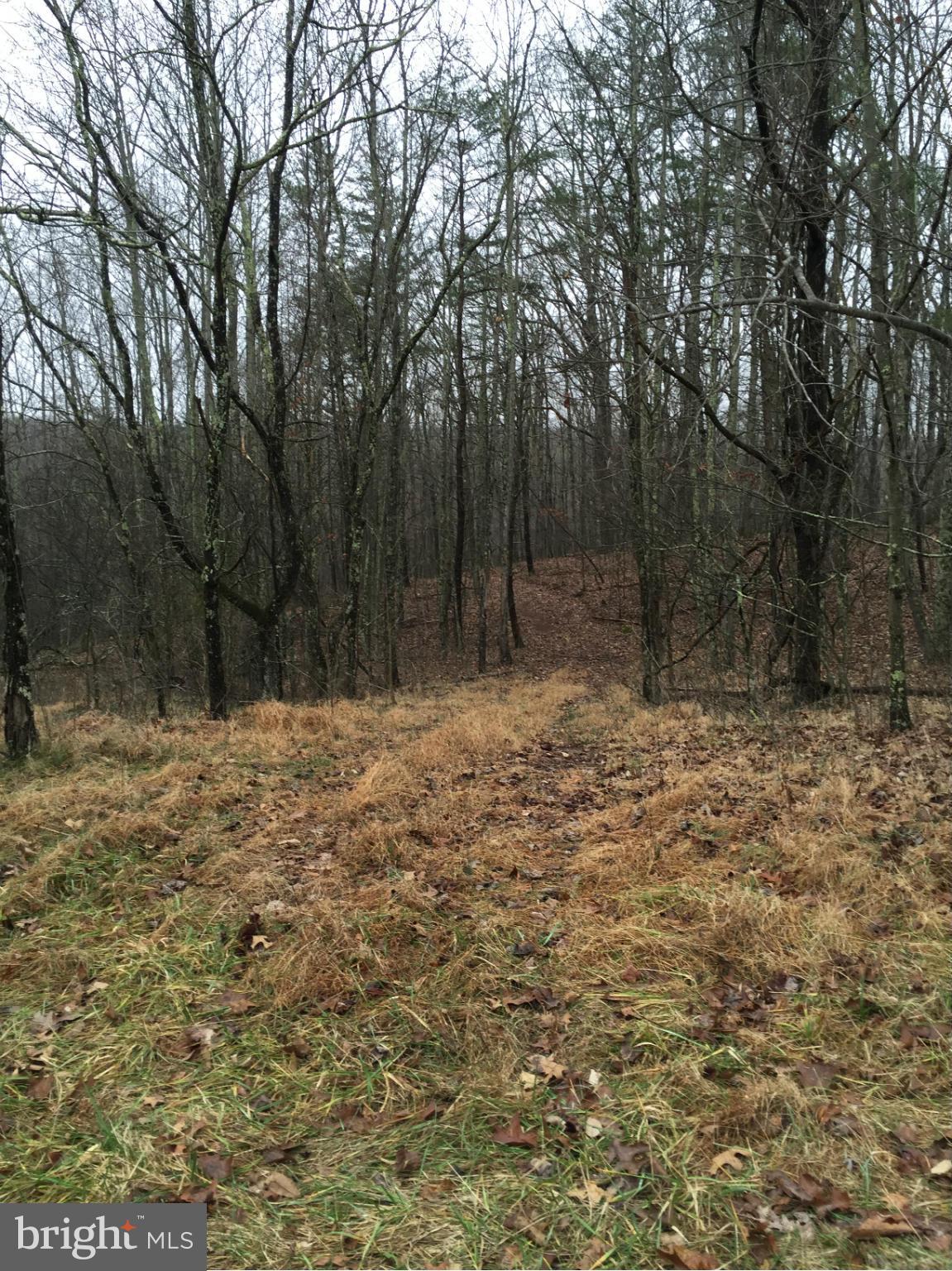 NONE AVAILABLE - Land