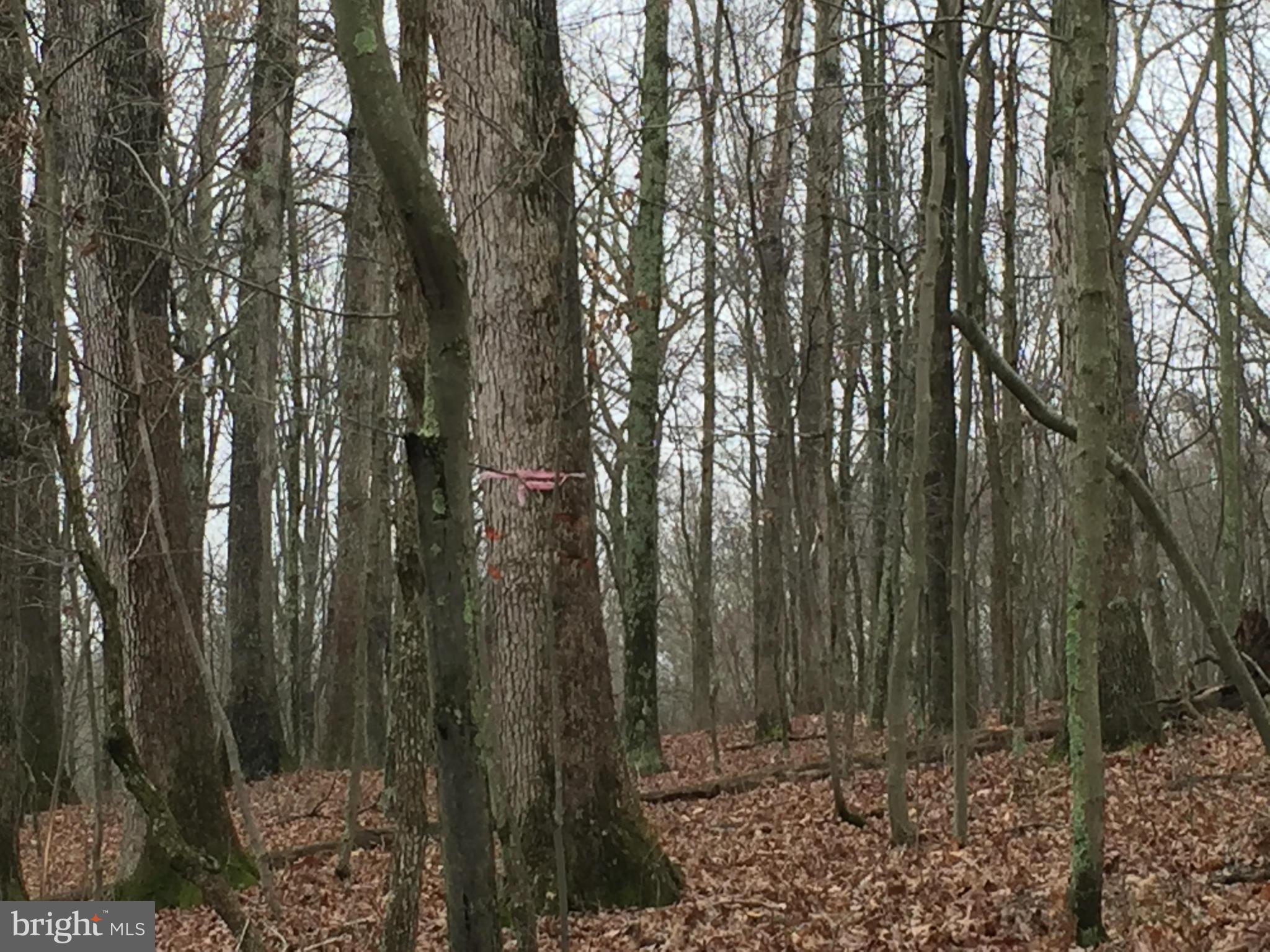 NONE AVAILABLE - Land