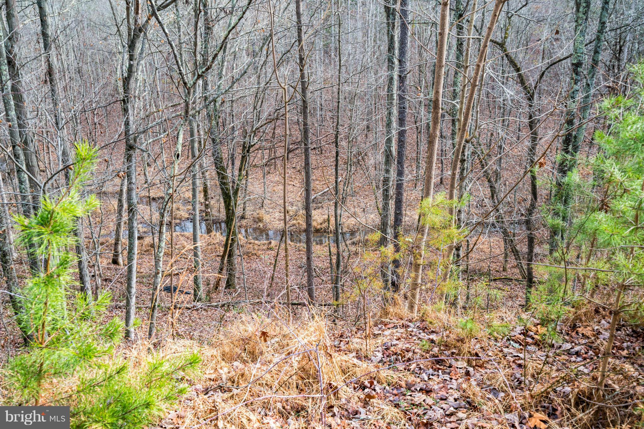 NONE AVAILABLE - Land