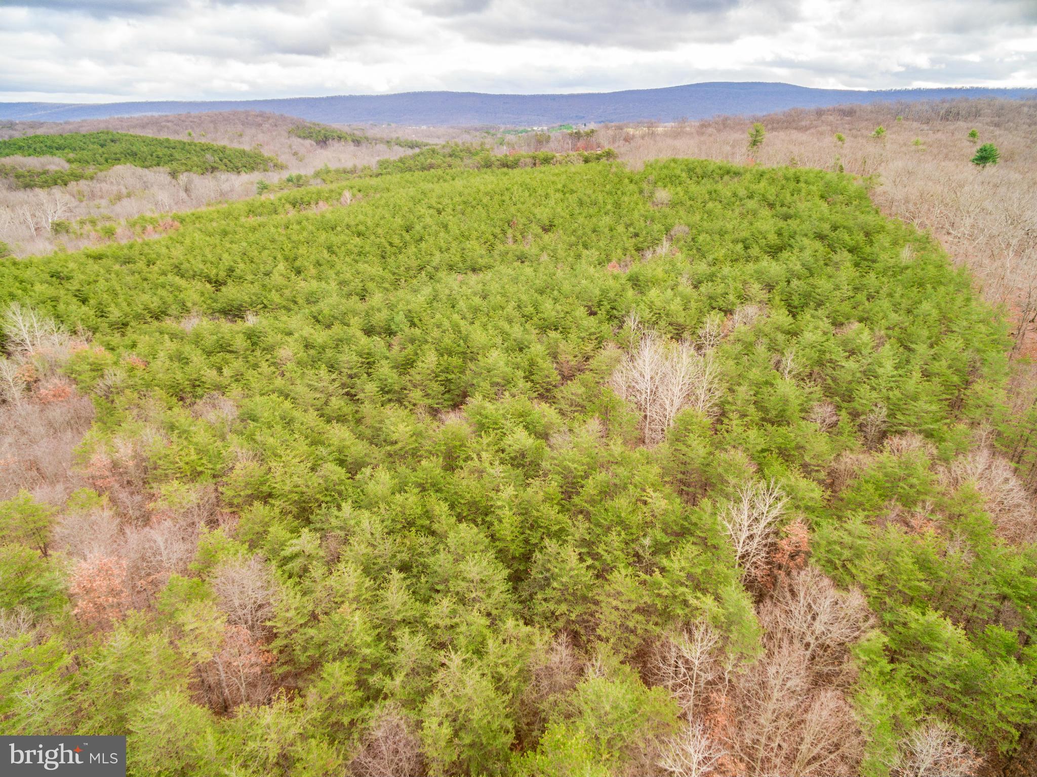 NONE AVAILABLE - Land