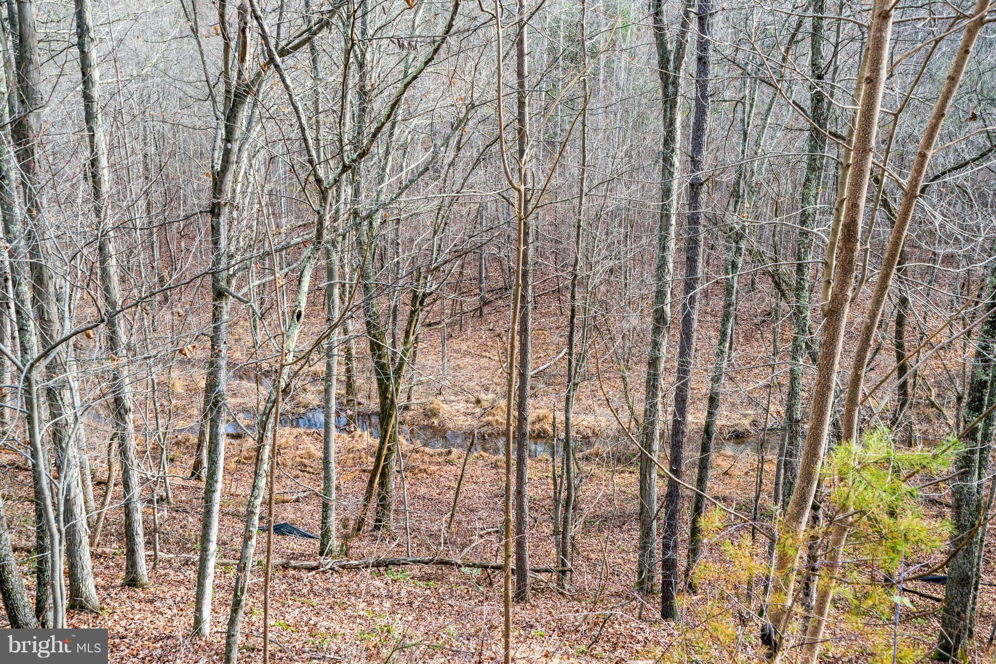 NONE AVAILABLE - Land