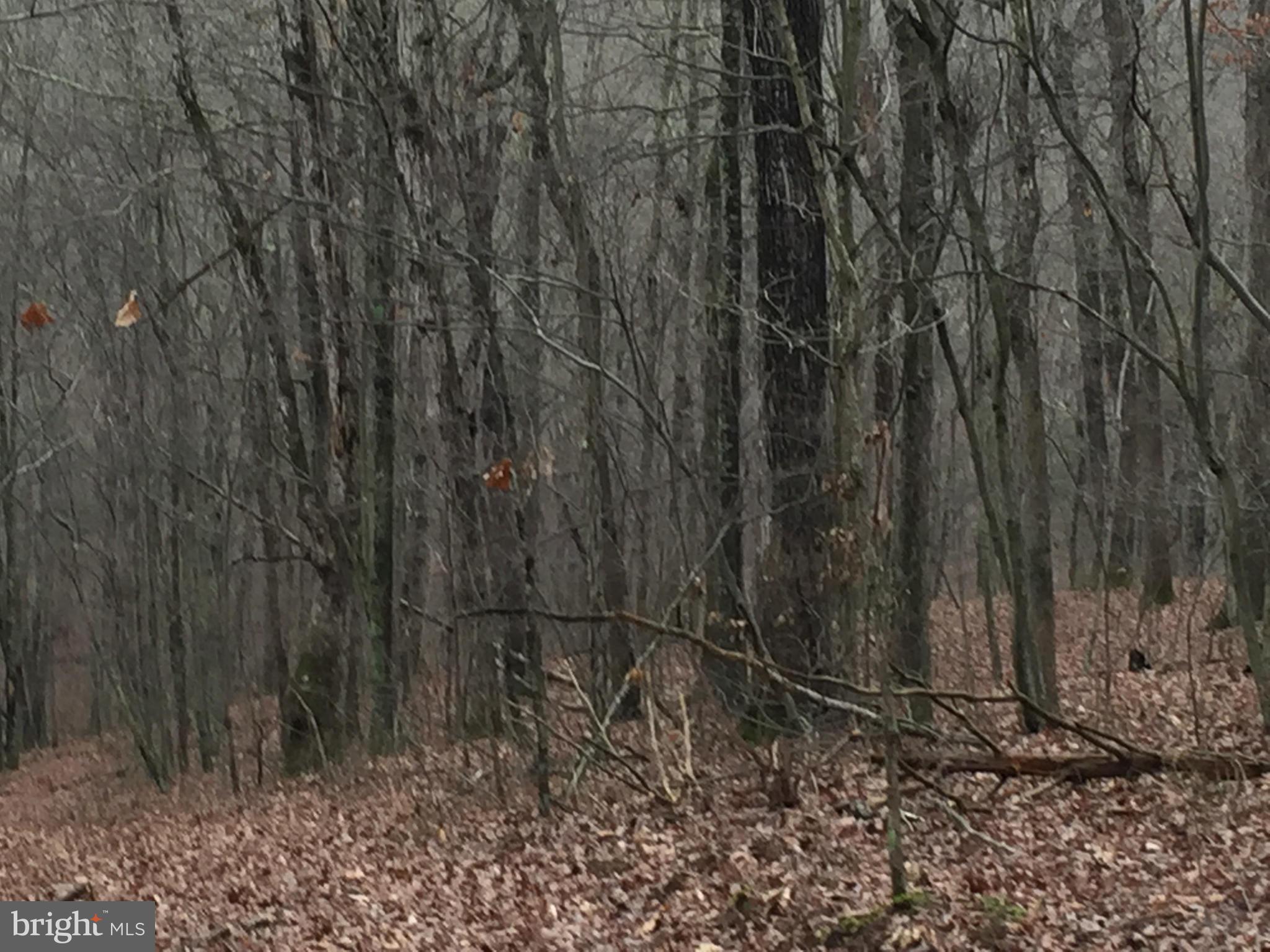 NONE AVAILABLE - Land