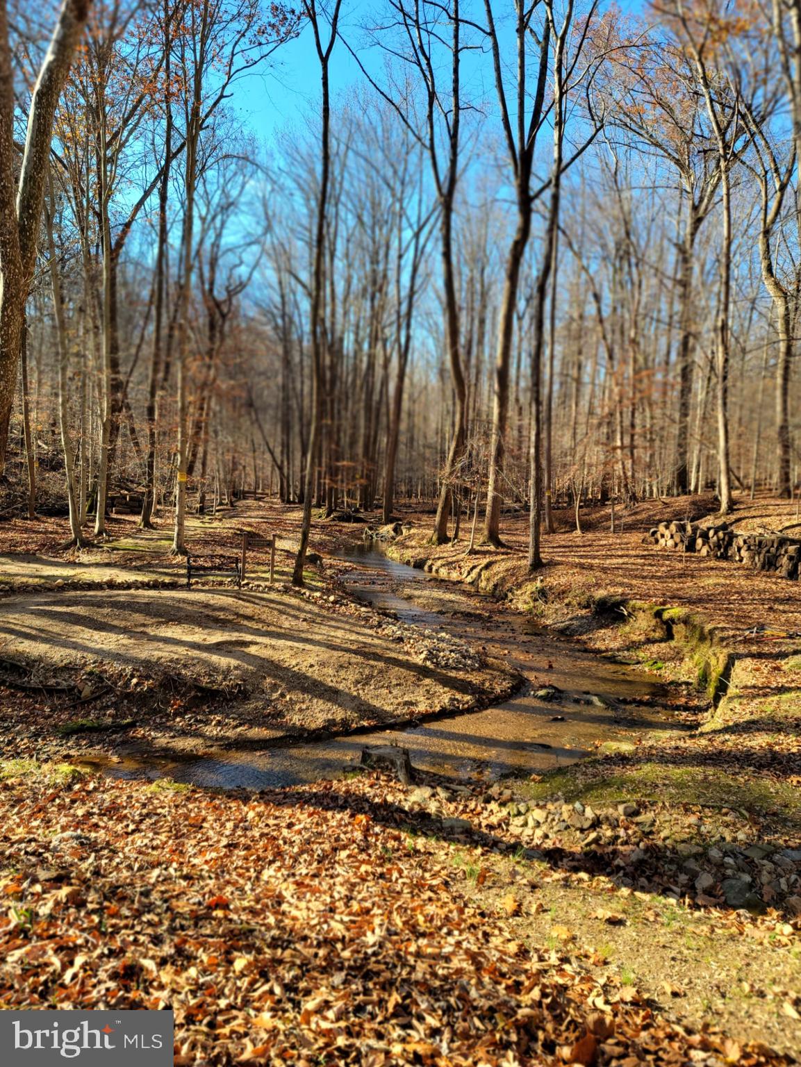 POTOMAC RIDGE ESTATES - Land