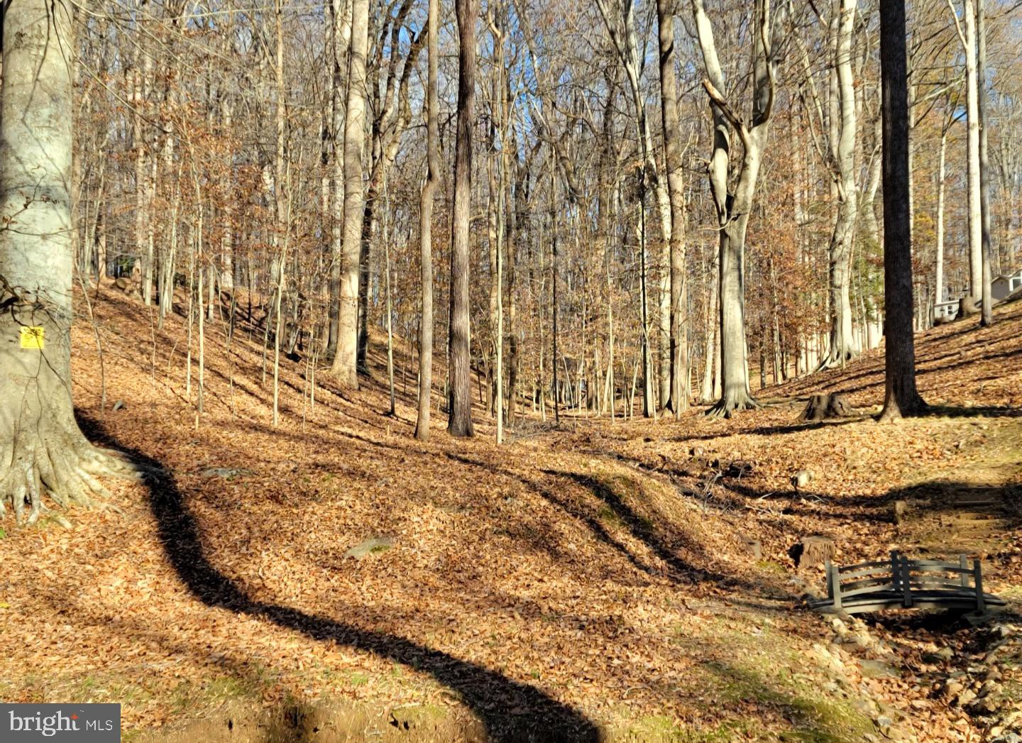 POTOMAC RIDGE ESTATES - Land