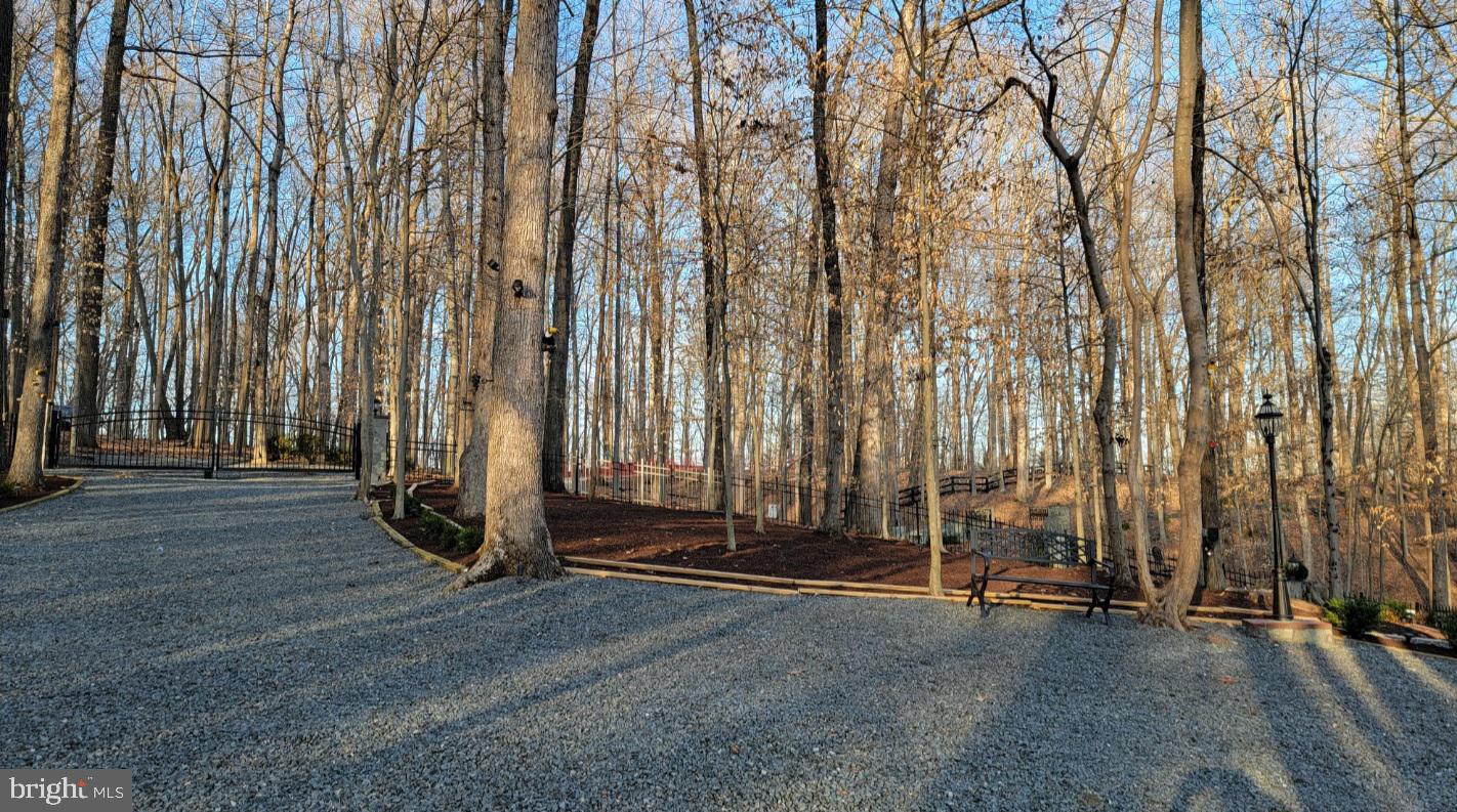 POTOMAC RIDGE ESTATES - Land