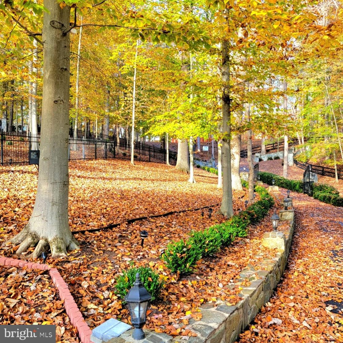 POTOMAC RIDGE ESTATES - Land