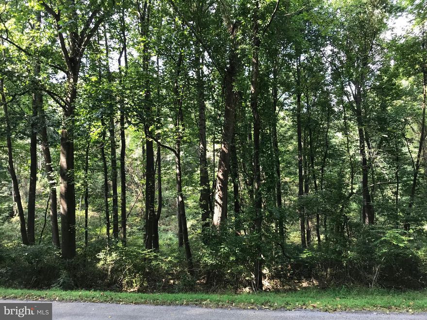 Wooded and partially sloped, this almost full acre lot has the potential to perc or use soil fill to then build, or just use for convenient nearby recreational use or timber harvest.  Owner has not had perc test